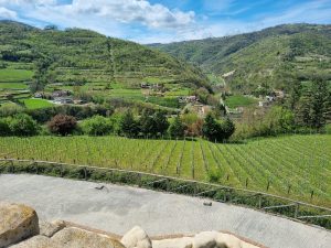 Agriturismo tra le colline in Alta Langa